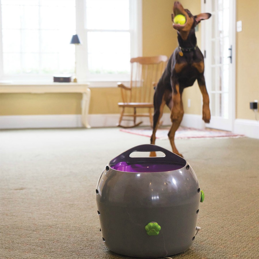 petsafe-automatic-ball-launcher