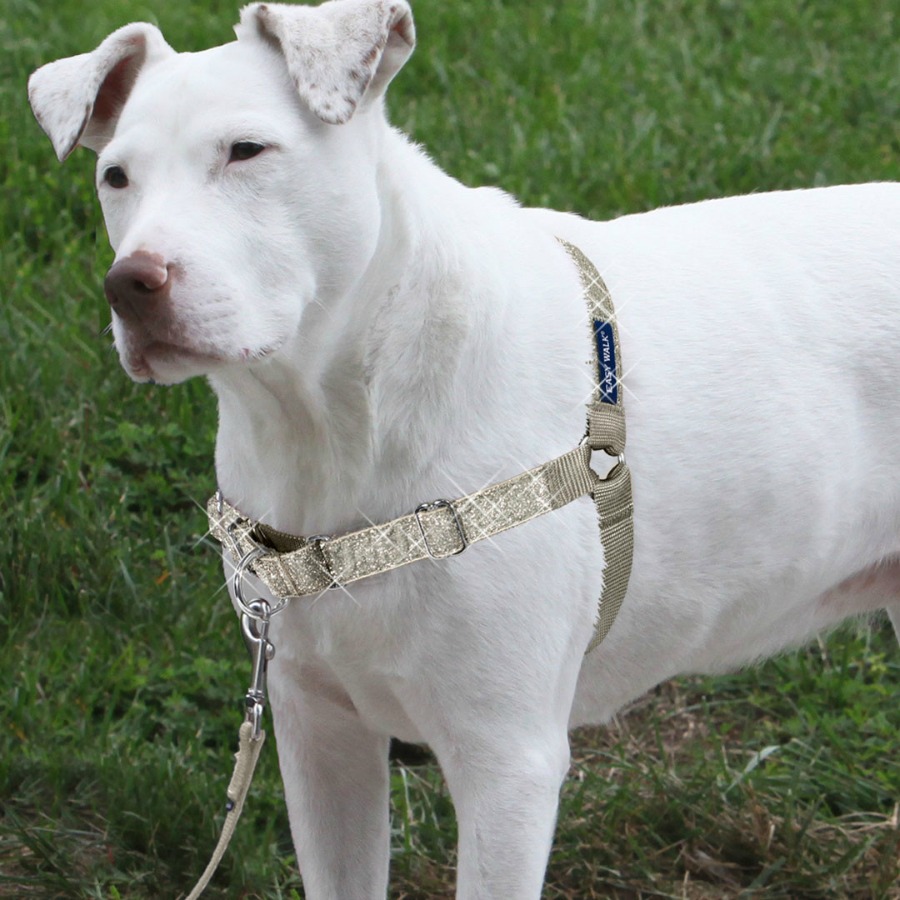 petsafe-bling-easy-walk-harness