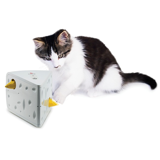 petsafe-cheese