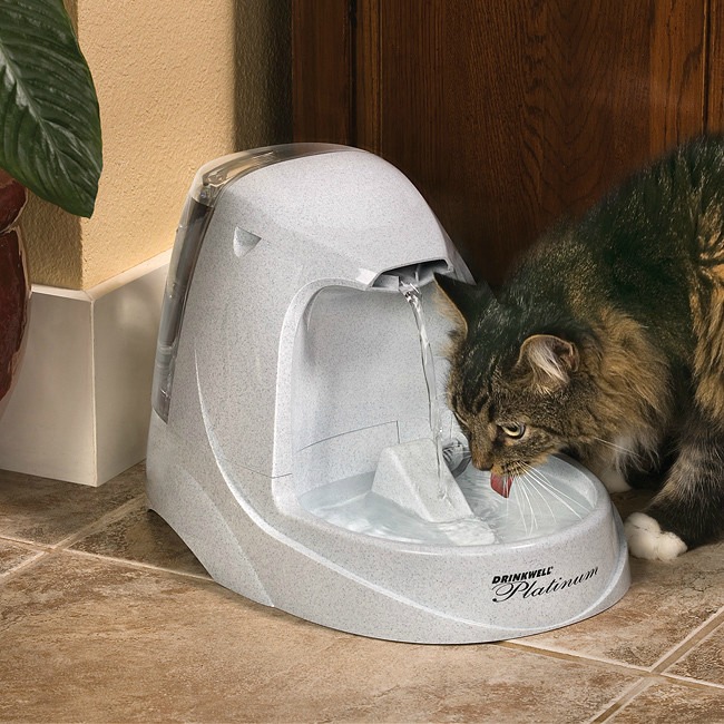 petsafe-drinkwell-premium-pet-fountain