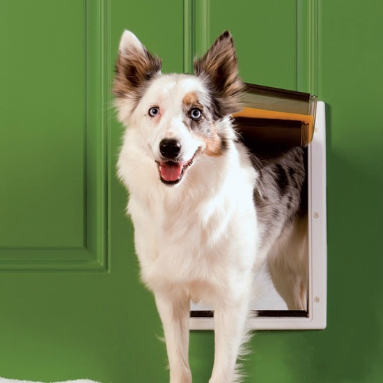 petsafe-extreme-weather-pet-door