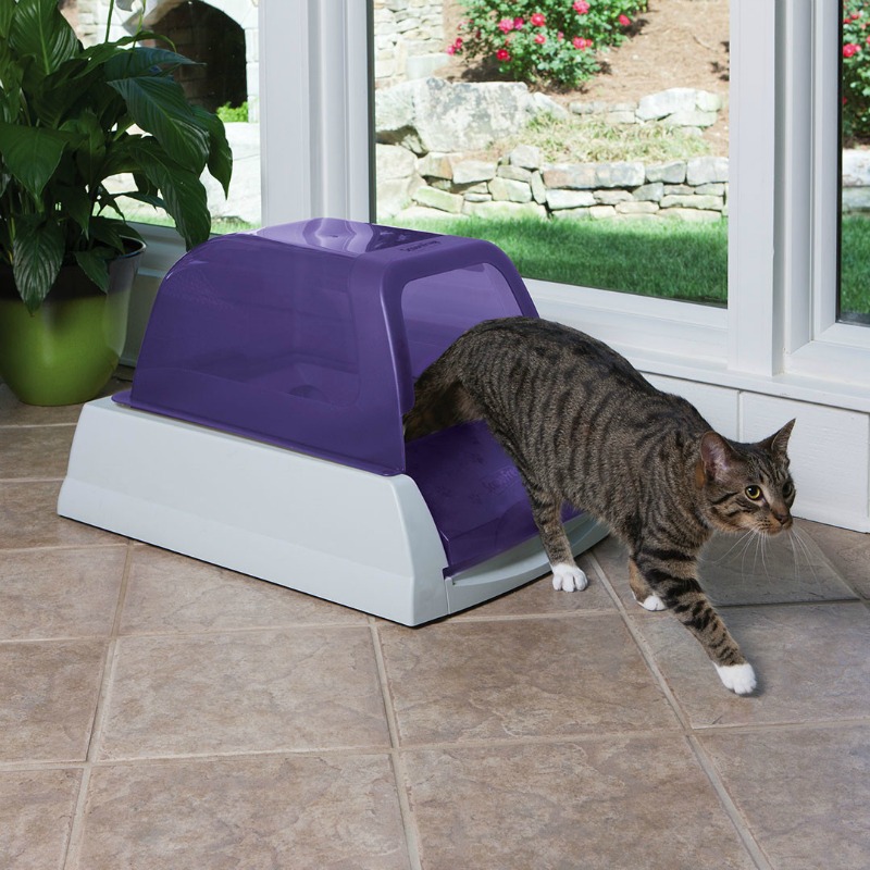 petsafe-scoopfree-ultra-self-cleaning-litter-box