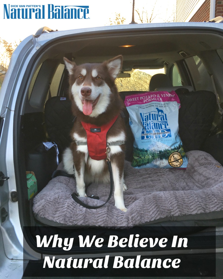 Looking for a quality food for your dogs? See why we believe in Natural Balance & how their LID formula helped with Ivi's allergies here! 