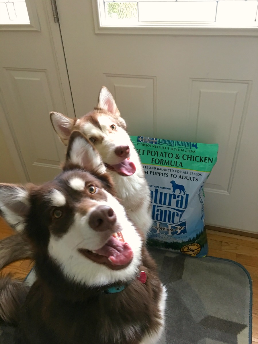 Want to find a high quality food for your dog made from the best natural ingredients? See why we believe in the quality of Natural Balance here! 