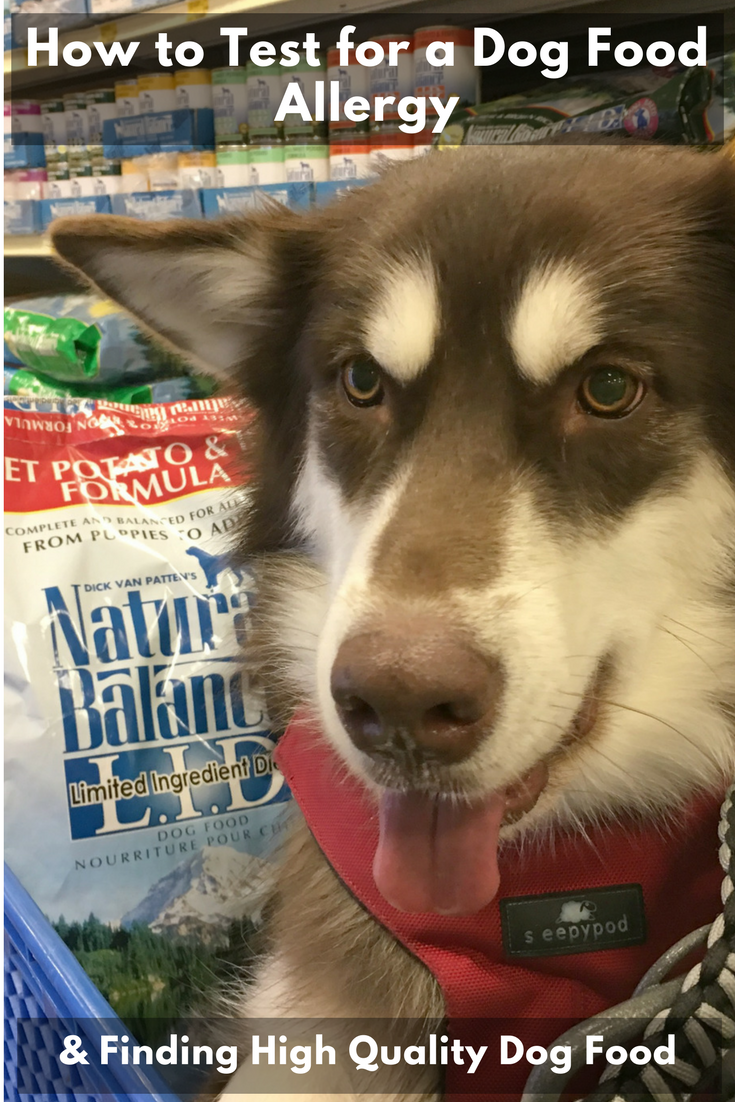 Are you worried your dog has a food allergy or sensitivity? Learn how we tested for a food allergy with our vet's recommendations & finding the right food here!