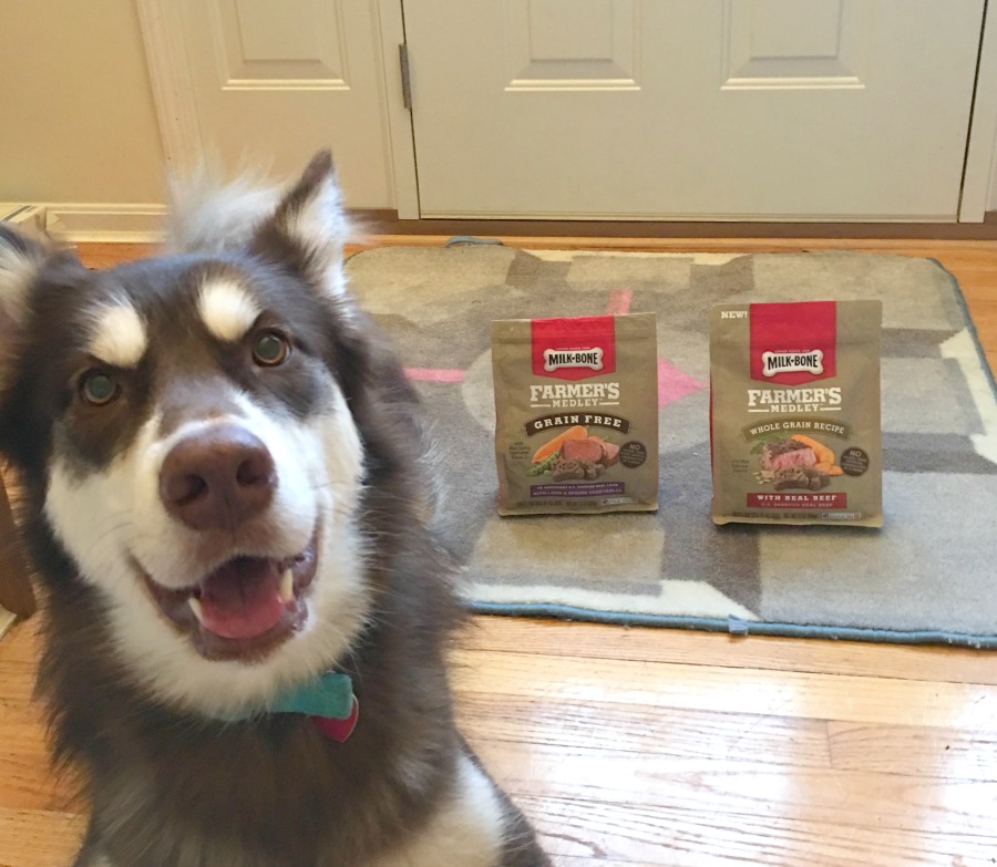 Looking for wholesome treats that are perfect for any budget? See what we think of Milk-Bone Farmer’s Medley Treats here!