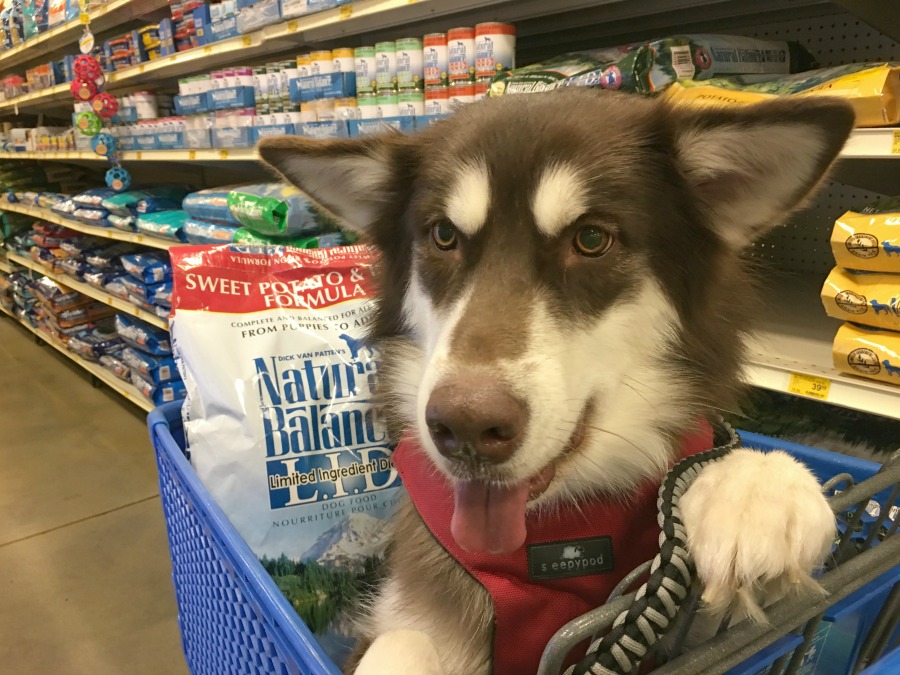 Do you want to help animals in need? Learn how you can help fight hunger with PetSmart's new Buy a Bag, Give a Meal Program here! #fortheloveofpets