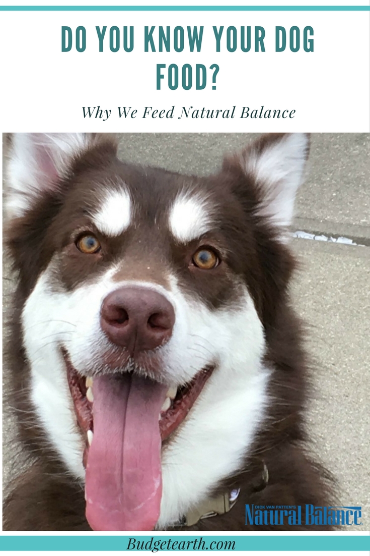 Do you know the ingredients in your dogs food & how it was tested? See why our family believes in Natural Balance dog food for every meal here! #WeBelieveinNB