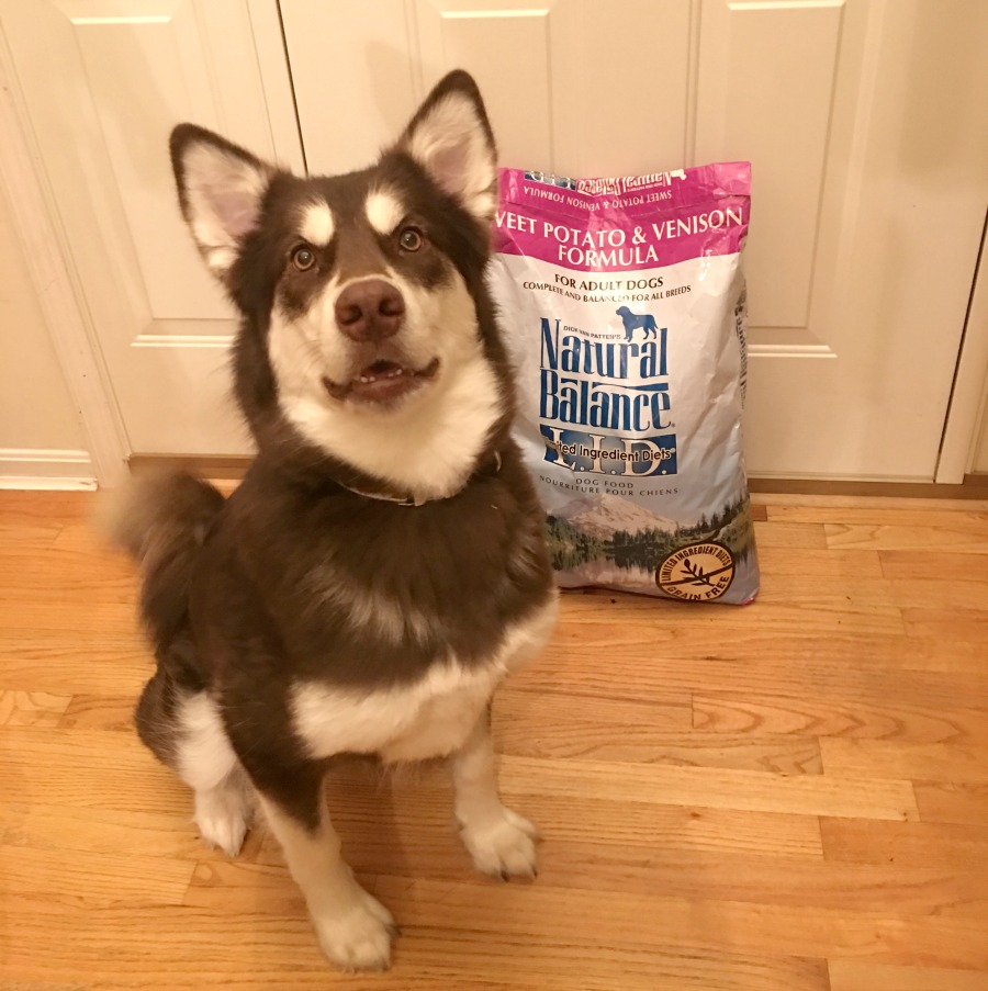 Do you know the ingredients in your dogs food & how it was tested? See why our family believes in Natural Balance dog food for every meal here! #WeBelieveinNB
