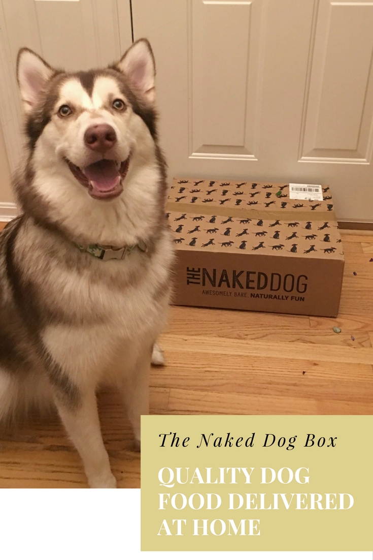 Looking for a quality dog food that can be delivered right to your door? See what we think of The Naked Dog Box here! 