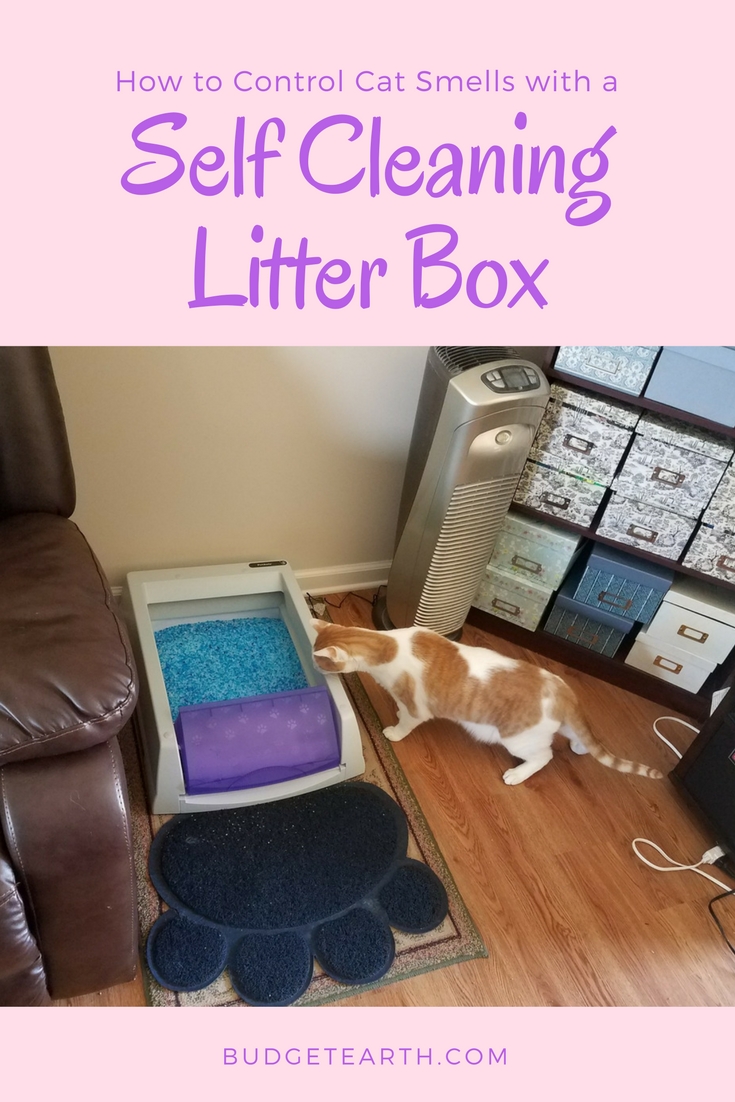 Tired of your house smelling not so great due to your litter box? Learn how you can control bad cat smells in your house with an self cleaning litter box here! 