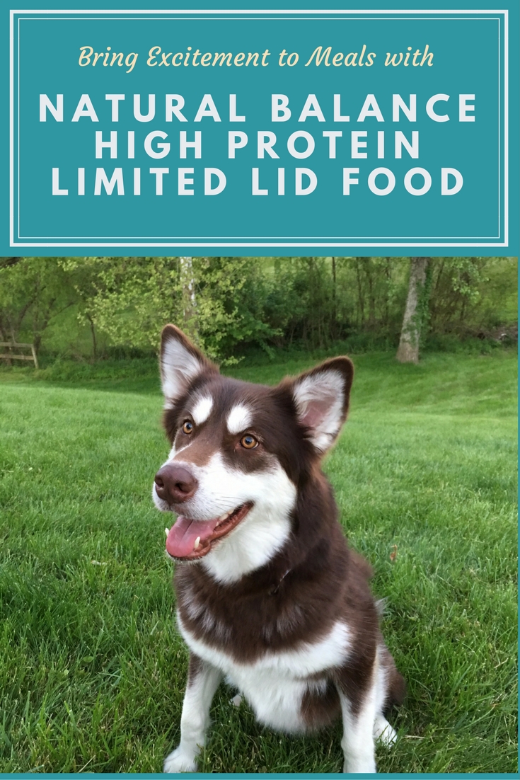Looking for a quality high protein food for your dog? See why we are excited about the new Natural Balance High Protein Limited Ingredient Diet Formula here! #blogpaws