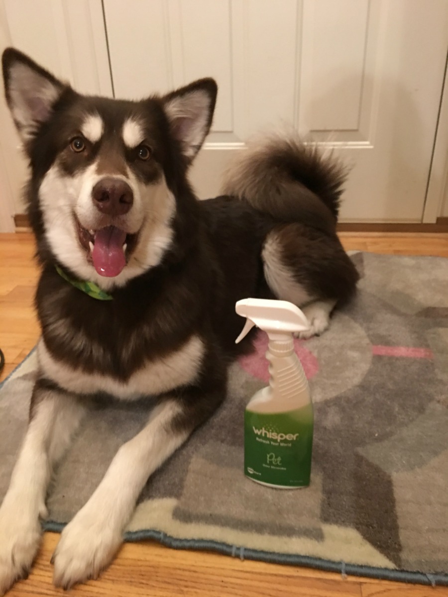 Looking for a way to get rid of pet odors without using perfumes or scary chemicals See what we think of Whisper Pet Odor Eliminator Spray & Cat Litter Spray here! 