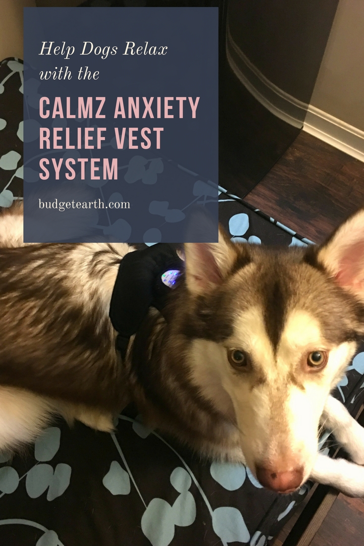 Looking for ways to help your dog relax & better handle fireworks or separation anxiety? See what we think of the Calmz Anxiety Relief Vest System here! 