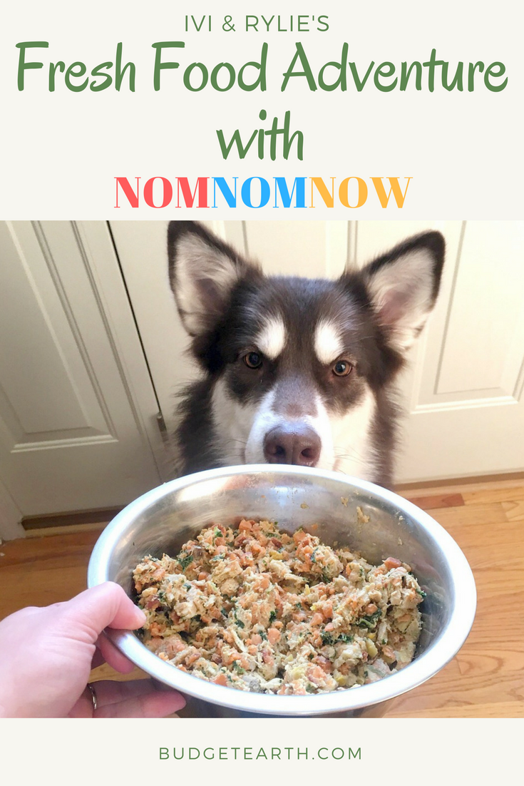 Considering a fresh food doggy diet but not sure where to start? See Ivi & Rylie's fresh dog food adventure - delivered to our door with NomNomNow! 