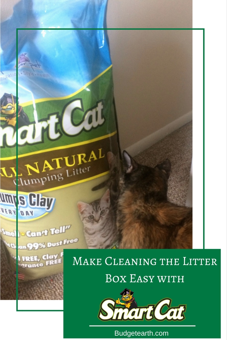 Looking for an all natural litter that truly makes cleaning the litter box easy? See why we have fallen in love with SmartCat All Natural Litter here!