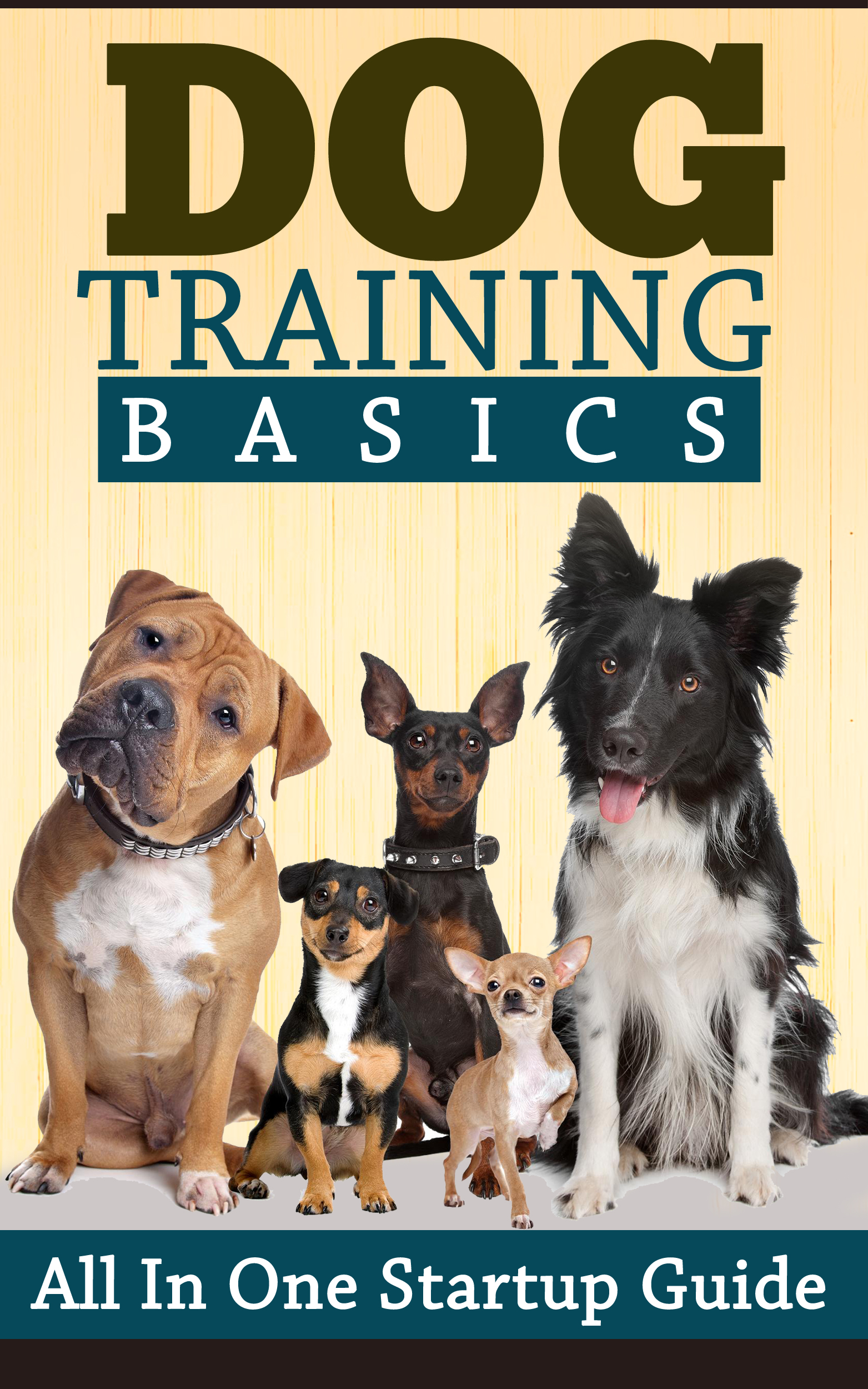 Dog Training Basics All In One Startup Guide Review