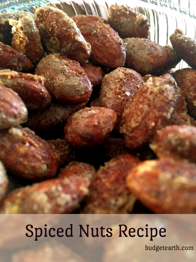 Spiced Nuts Recipe | Budget Earth