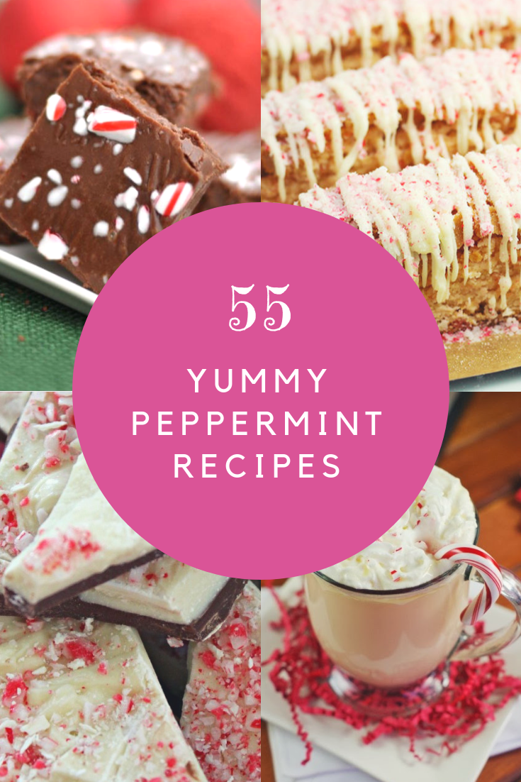 55 Yummy Peppermint Recipes | Budget Earth