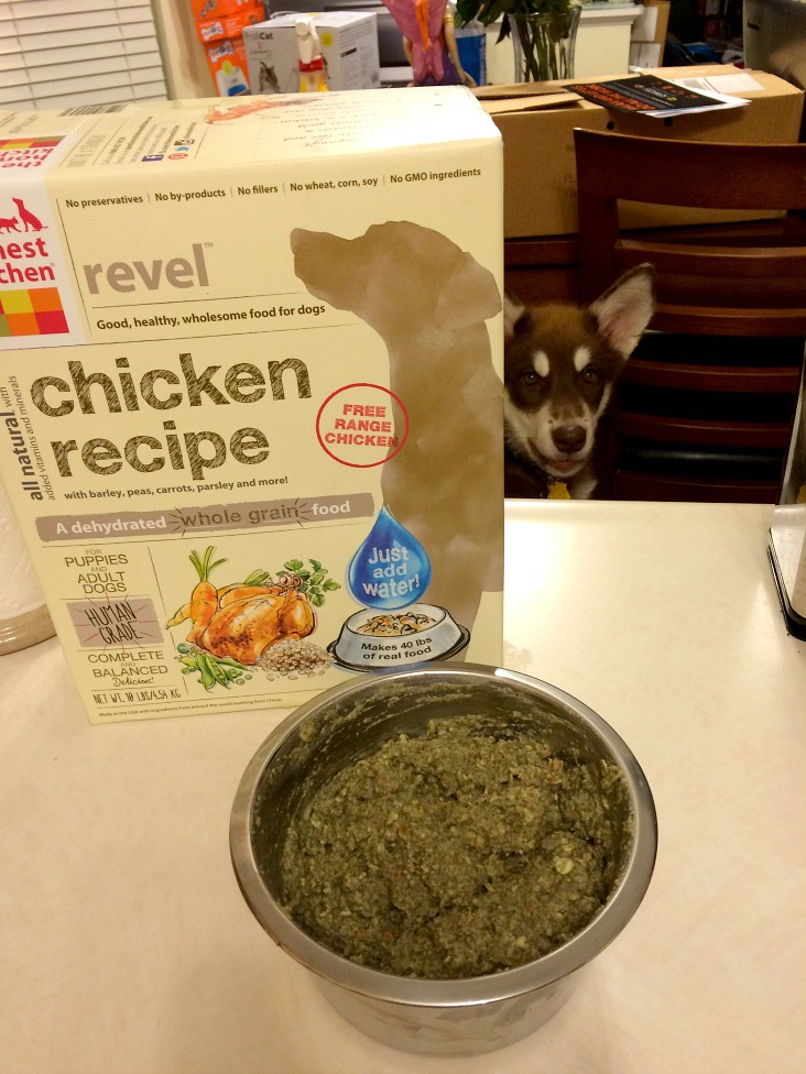 Looking for awesome, all natural food for your new puppy? See what we think of Honest Kitchen Revel food & their goat milk supplement here!