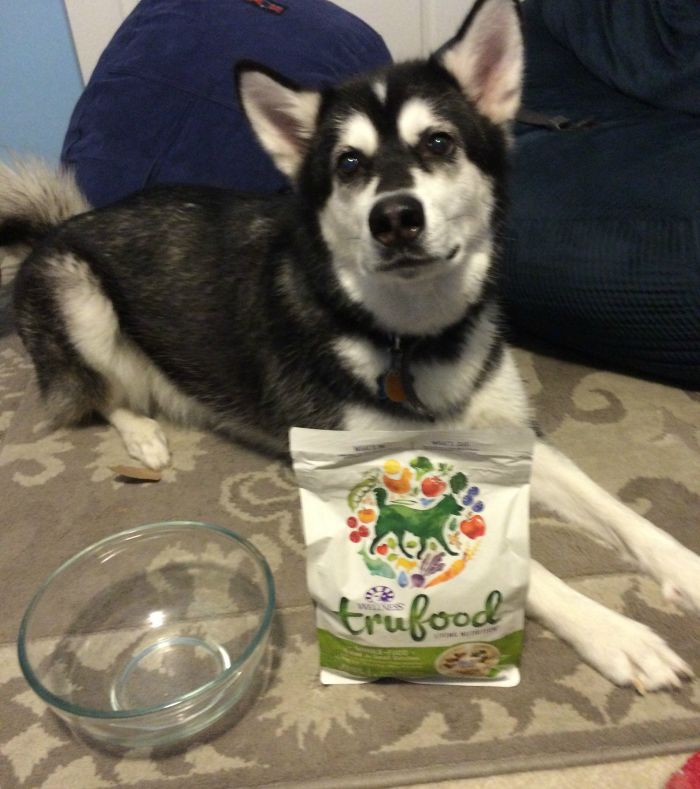 Looking for some delicious food made from fresh whole food for your favorite dog? See what we think of Wellness TruFood for dogs here!