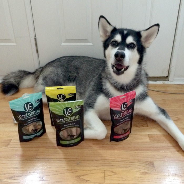 Want to drive your dog wild with yummy, freeze dried, single ingredient treats? See what we think of Vital Essentials 4 new freeze dried treats here!