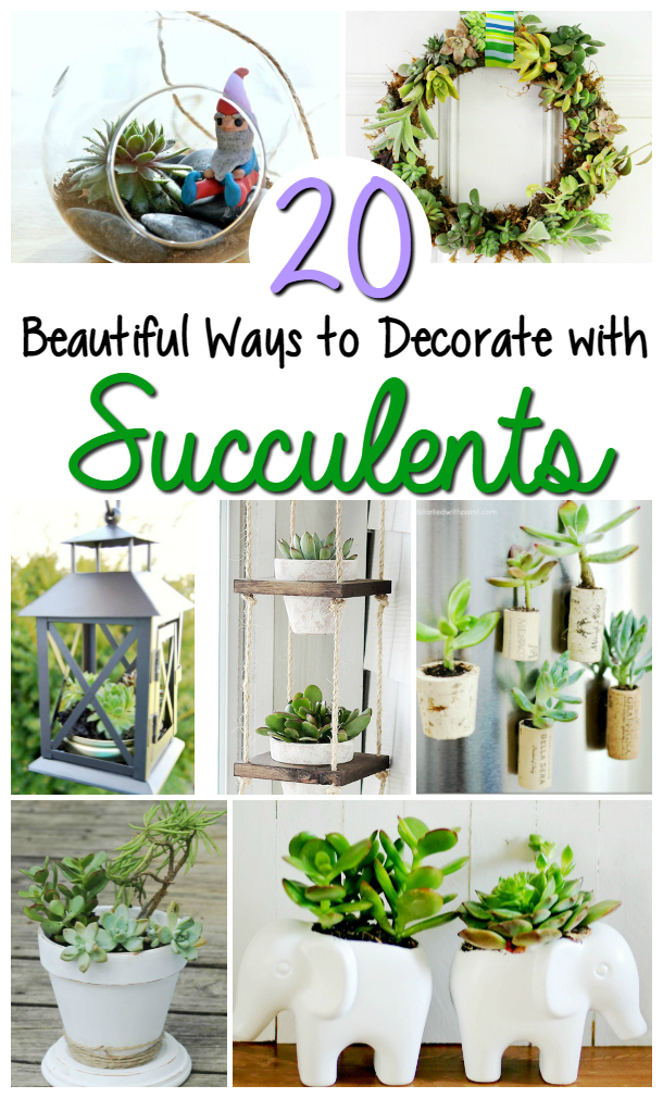 Looking for decorative plants that are great for those without a green thumb? Check out these 20 Beautiful Ways to Decorate with Succulents here!