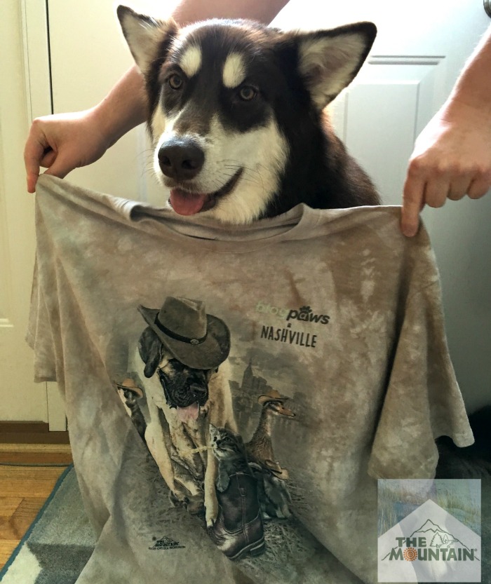 Planning a trip this summer & want to look stylish & be comfortable? See how we are traveling to BlogPaws Phoenix in style with The Mountain t-shirts! #blogpaws