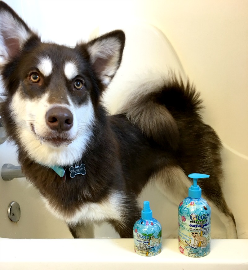 Want to keep your pets clean & help prevent the overpopulation of cats & dogs? See why we love Lucy Pet Products here!