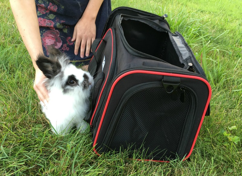 Looking for a carrier that is great for small dogs & small pets? See what we think of the OKBUYNOW Extendable Soft-Sided Travel Pet Carrier here!