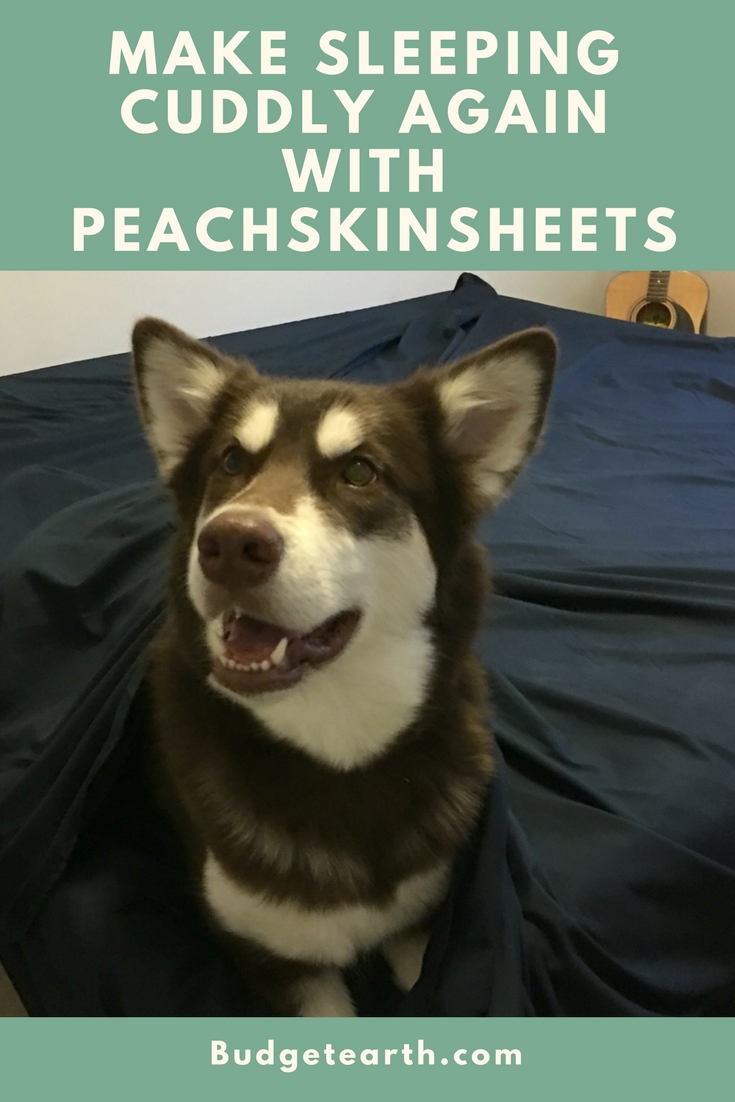 Looking for comfortable sheets that are not only soft, but affordable? See what we think of PeachSkinSheets here!