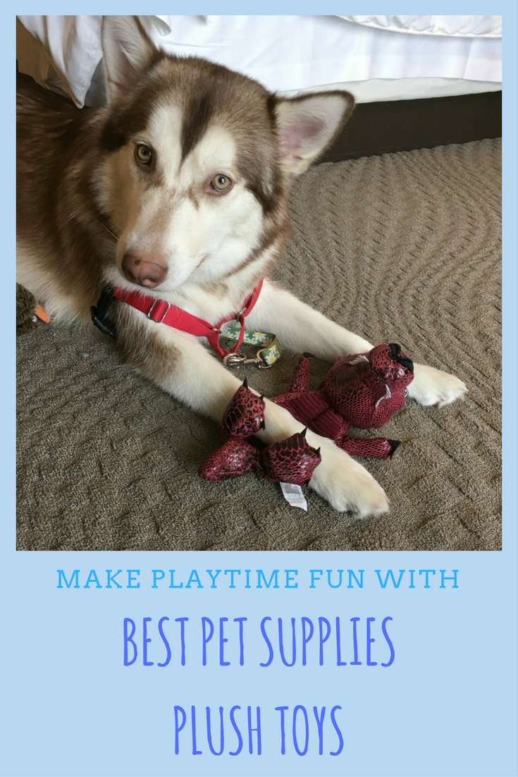 Looking for well made dog toys without a high price tag? See what we think of Best Pet Supplies plush dog toys here!