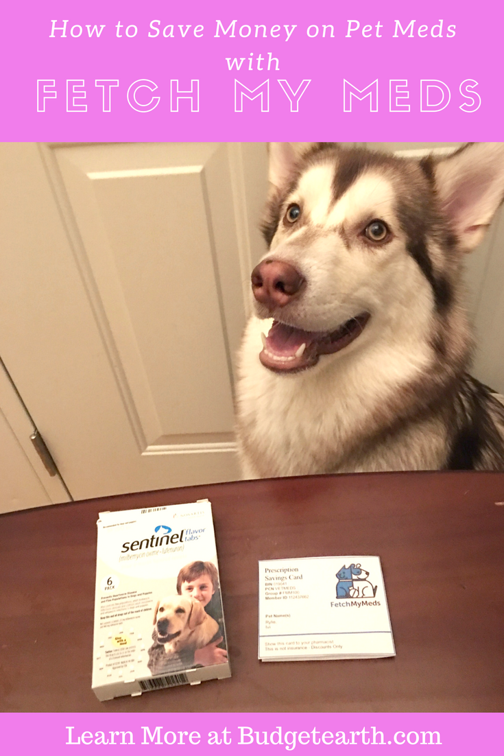 Looking for ways to save money on your dog or cat's pet meds? Learn how you can save up to 70% with a Fetch My Meds pet prescription discount card here!