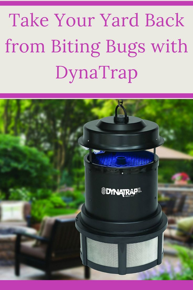 how a dynatrap bug trap can stop biting bugs