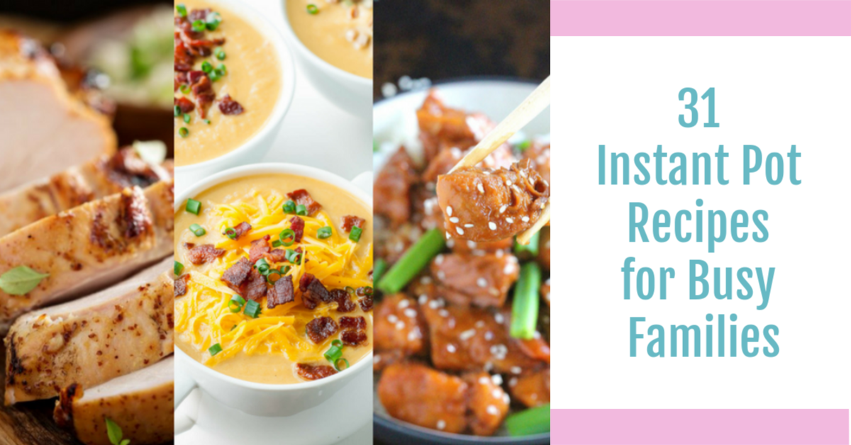 31 Instant Pot Recipes for Busy Families | Budget Earth