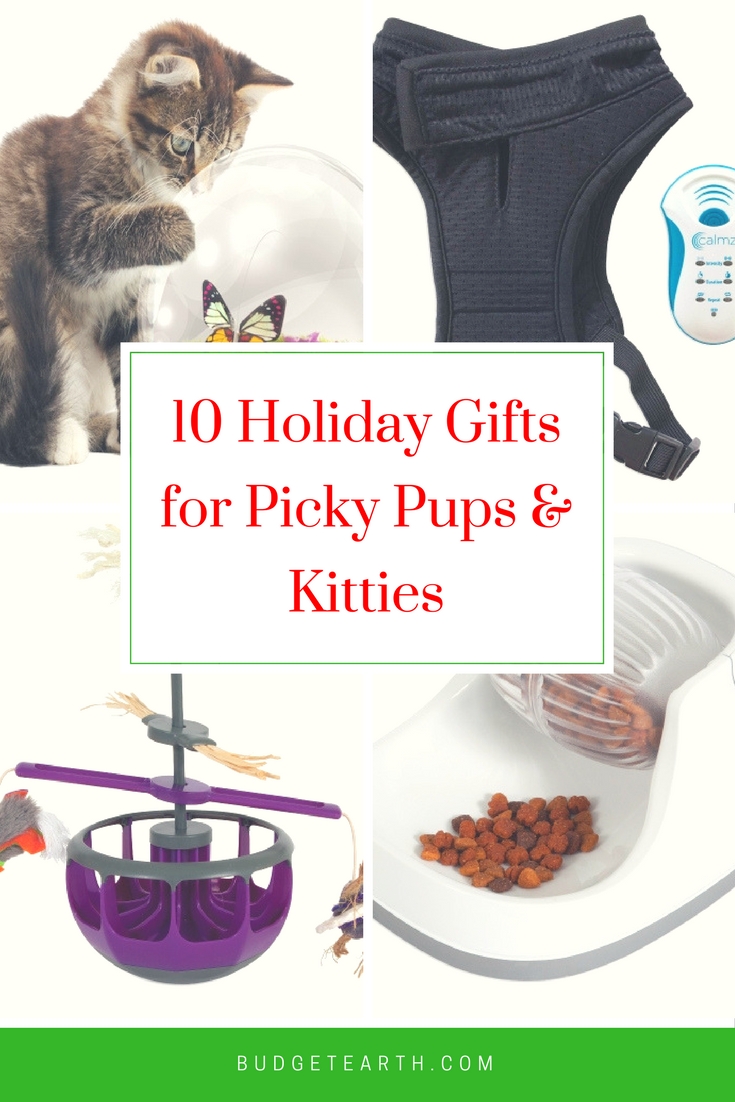 Looking for a fun gift for a pup or kitty that has everything? Check out our choice of 10 amazing toys & accessories for dogs & cats here!