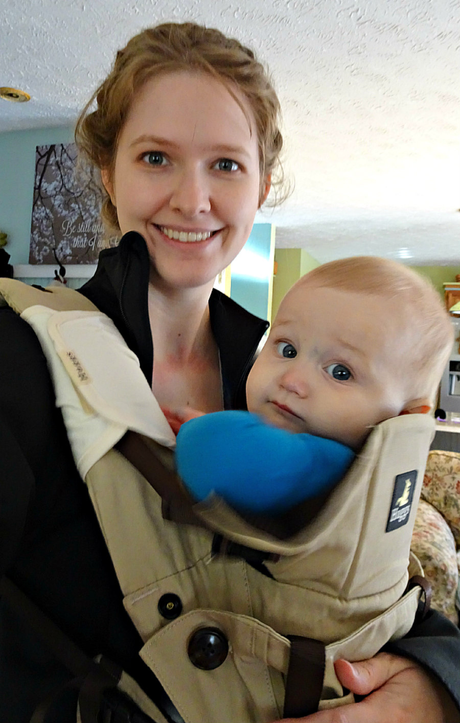 Huggs Baby Carrier Review Budget Earth