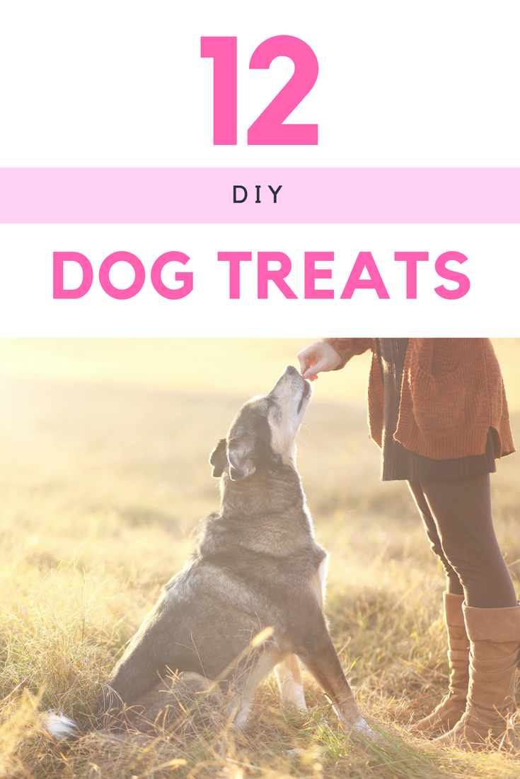 Are you looking for some awesome dog treats for your favorite pup that you can make at home? Check out these 12 DIY Dog Treat Recipes here!