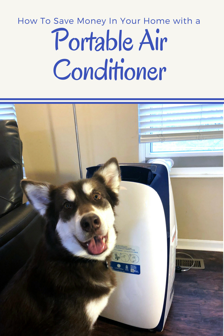 red alaksan malamute standing next to a Honeywell portable air conditioner