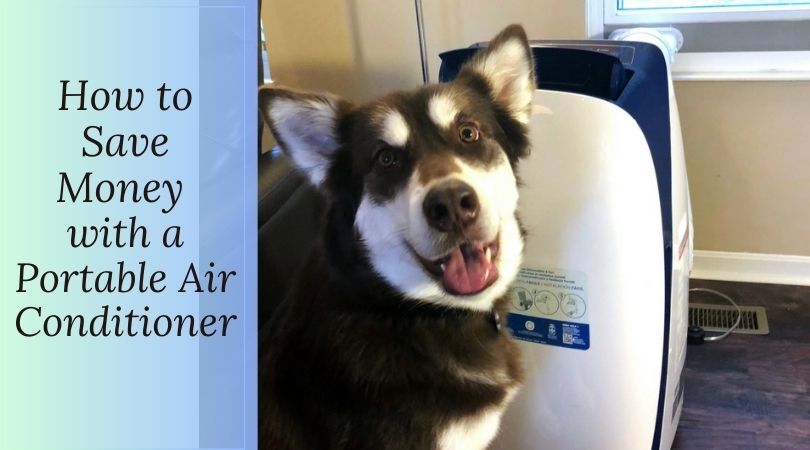 alaskan malamute with a honeywell portable air conditioner