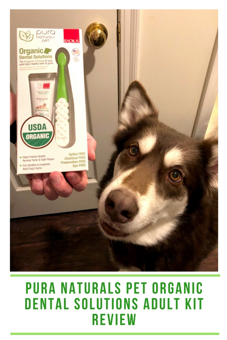 Ivi standing with dog dental kit from Pura Naturals Pet