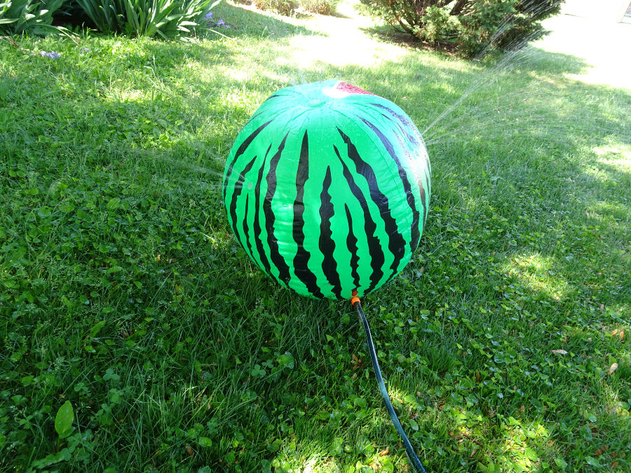 Mega Melon Sprinkler