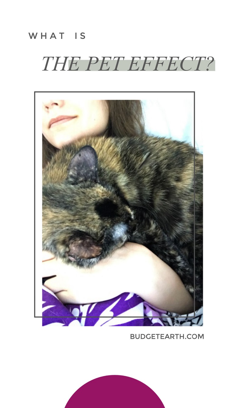 picture of girl holding cat