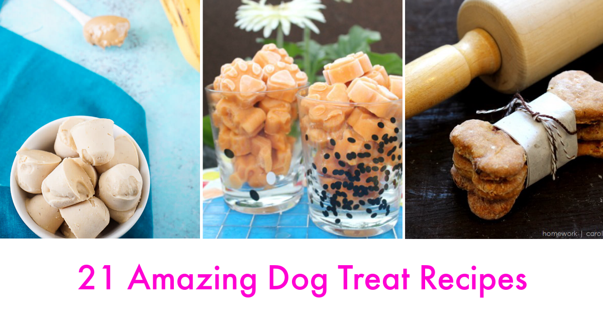 21 dog treat recipes with pictures of all recipes