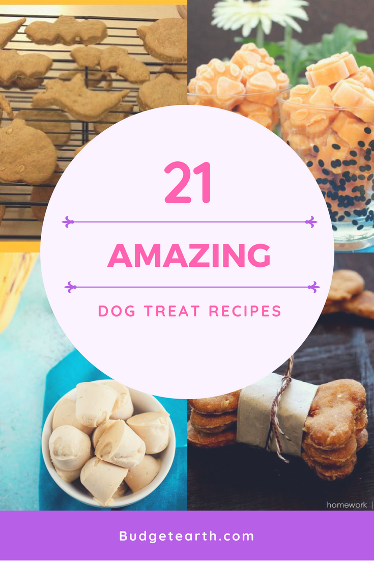 21 dog treat recipes with pictures of all recipes