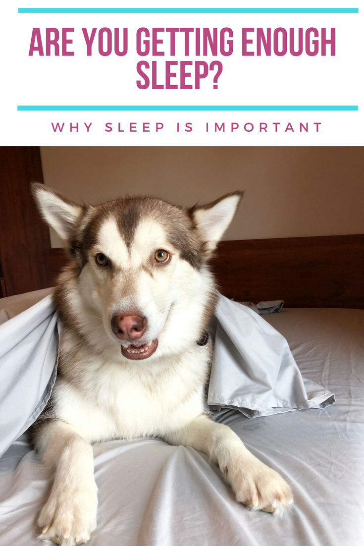 PeachSkinSheets Alaskan Malamute sleep tips