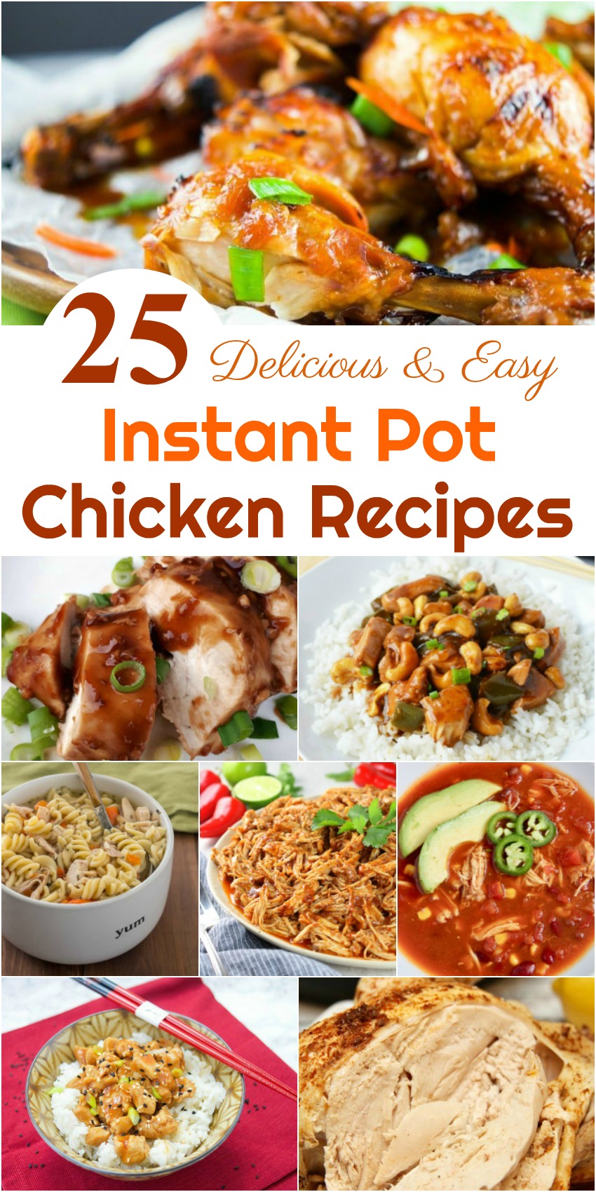 25 Delicious & Easy Instant Pot Chicken Recipes | Budget Earth