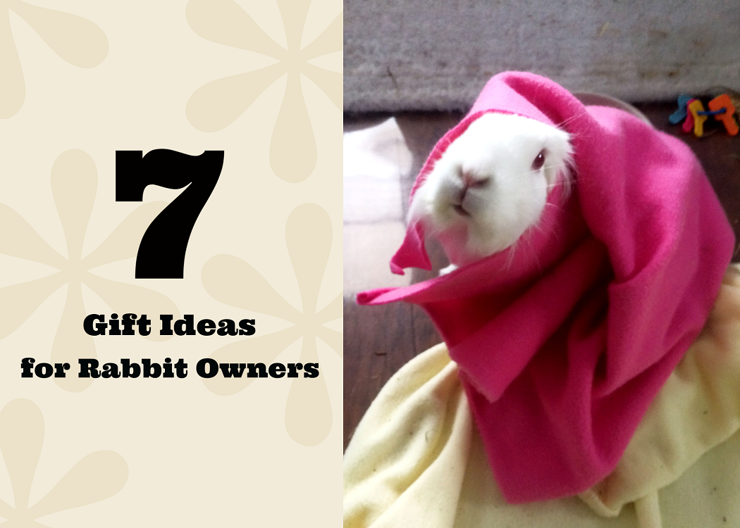 Unsure of what to get your favorite bunny owner? Check out these seven fun gift ideas for rabbit owners here!