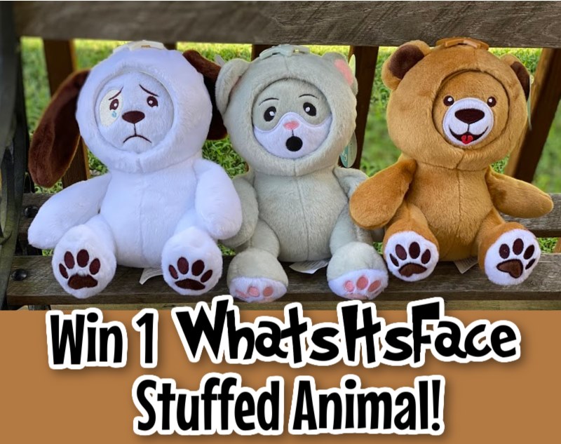 Looking for a fun way to play with your child? Enter to win a Whatsitsface stuffed animal here!