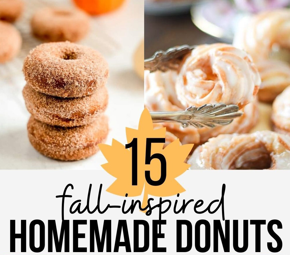 homemade donut recipes featuring pumpkin and other fall themed ingredients